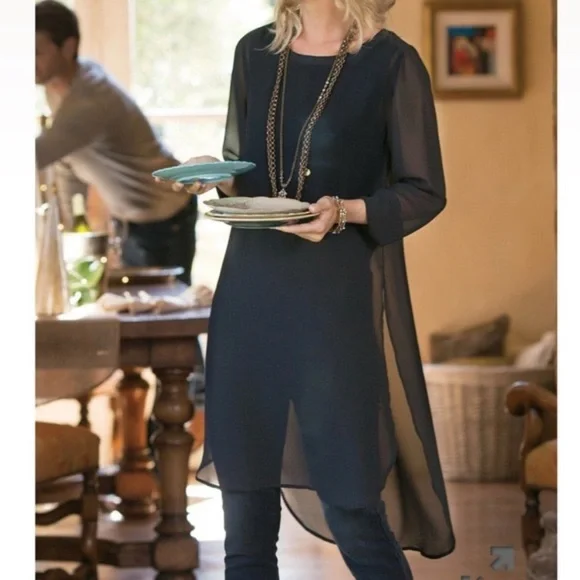 Soft Surroundings Sheer Black Tunic - Picture 1 of 14